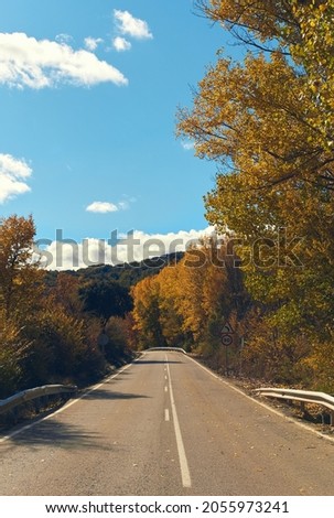 Road with trees with autumn colors