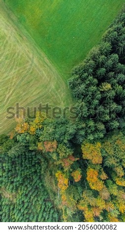 Autumn Forest Field Grass Geometry