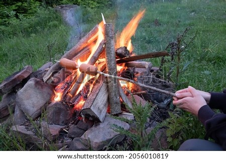 sausages fried on a fire in the forest
