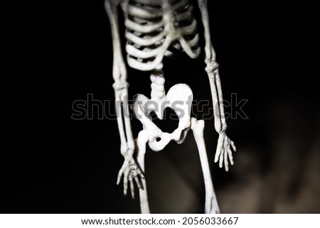 Skeleton pelvic bone in the dark close up