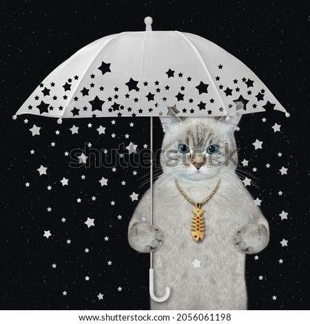 An ash cat under a white umbrella with shooting stars. Black background.