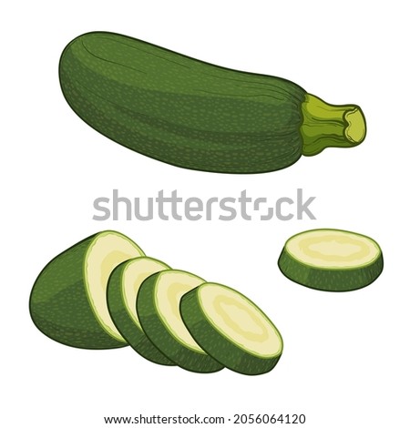 Zucchini and zucchini slices. Colorful vector illustration, isolated on a white background. Royalty-Free Stock Photo #2056064120