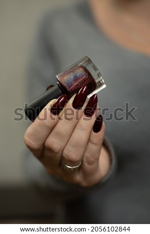 Female hand with long nails and a dark red burgundy manicure holds a bottle of nail polish