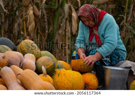An elderly woman chooses pumpkin seeds on the garden.