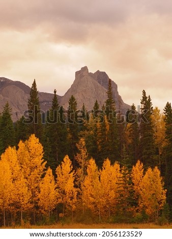 Early fall on the eastern slopes of the Rocky Mountains.