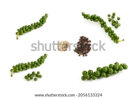 Collection of Green peppercorns (Green peppercorn to Powder peppercorn) Royalty-Free Stock Photo #2056133324