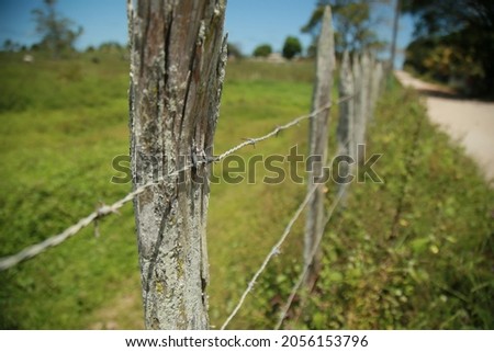 conde, bahia, brazil - october 6, 2021: fence with wooden stake and barbed wire is seen on a rural property in the town of Conde, north coast of Bahia. Royalty-Free Stock Photo #2056153796