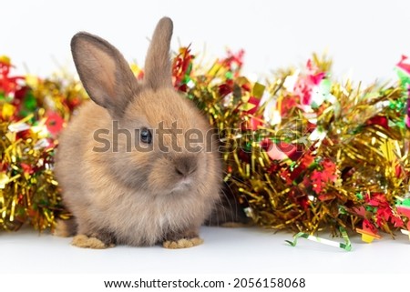 Lovely bunny easter fluffy brown rabbit in winter christmas scene with colorful bokeh yellow green red gifts, balls, and snow house. Merry christmas and happy new year concept with copyspace.