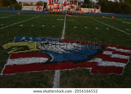 Flag emblem on a football field