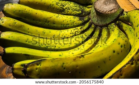 A collection of yellow bananas