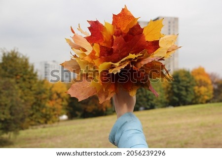 Multicolored bouquet of maple leaves on the background of the autumn sky