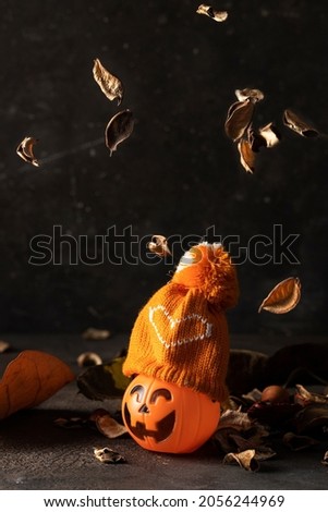 Scary face pot with Orange knit cap on dark background with dry leaves falling. Halloween and autumn mood concept.