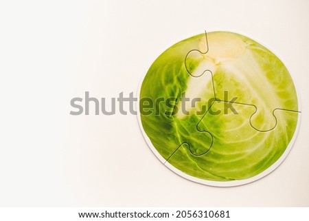 Head of cabbage. Cabbage on a white background. Picture of cabbage. 
