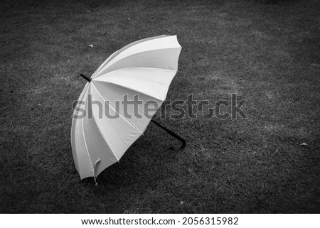 Black and white umbrella on grass background. umbrella on black background feel blue pattern