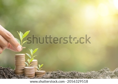 Hand putting money growing plants on stack coins in soil and green background blurred, warm light. Investment and business growth, economic risks, worth spending, saving money for the future concept.