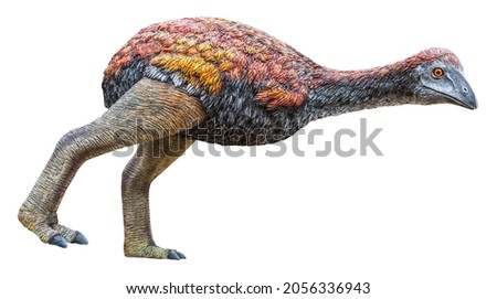 Vorombe Titan is one of three genera of elephant birds, an extinct family of large ratite birds endemic to Madagascar, Vorombe Titan isolated on white background with a clipping path