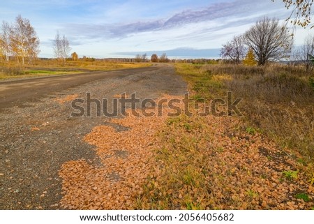 autumn landscape with road yellow dry leaves in the foreground and forest 