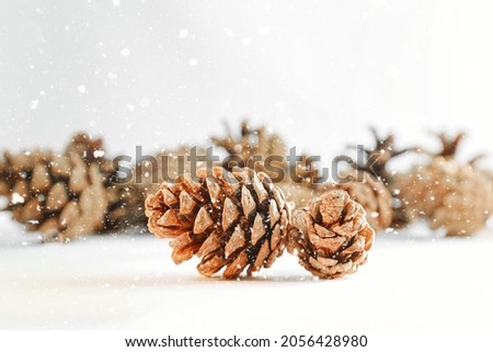 christmas decoration with cones, cones on a white background