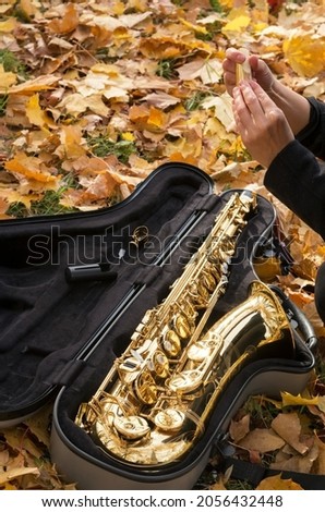 A musician girl tunes a saxophone. Close-up of a golden saxophone in a case against a background of yellow leaves.