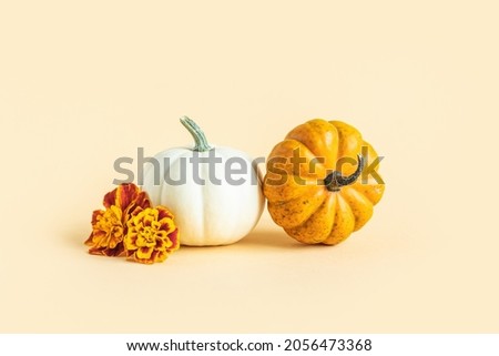 Ripe pumpkins with autumn marigold flowers on a yellow pastel background. Minimalistic concept for Thanksgiving card or background. Place for text.