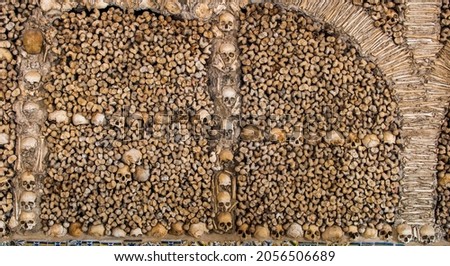 Scattered skulls and bones good for halloween background