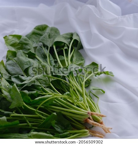 Vegetables or vegetables are a general term for plant foods that usually contain a high water content, which can be consumed after cooking or processing with certain techniques, or in a fresh state. Royalty-Free Stock Photo #2056509302