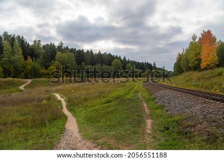 Railway in the autumn forest. Autumn forest day