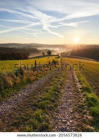 Velbert, Germany. Autumn sunrise in the Bergisches Land region. Grazing cows in the meadow in the morning. Rural landscape. Royalty-Free Stock Photo #2056573826