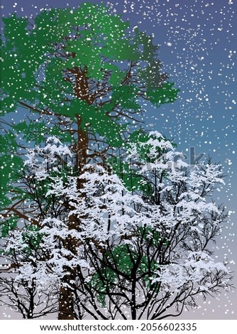 illustration with pines in snow on dark background