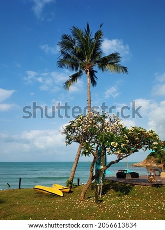 An ideal place to stay. Tropical resort. Beach by the ocean.
