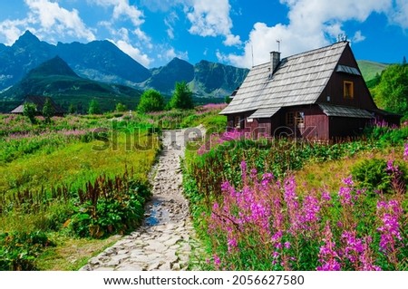 Mountain hut in Tatras. Picturesque meadow in the Gasienicowa valley. Amazing mountain flower (Epilobium angustifolium). Zakopane, Poland. Carpathians, Europe. Most beautiful mountain trails on world. Royalty-Free Stock Photo #2056627580
