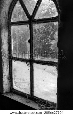 View from an old, milky, yellowed window. The spider webs have already spread almost everywhere on the glass and frame. At the bottom right of the picture are old rusty nails, on the window sill.