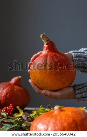 Halloween decorations, a woman in a gray sweater holding orange pumpkins. Autumn concept with a pumpkin on a dark background with autumn leaves. celebrating Halloween and Thanksgiving. pumpkin
