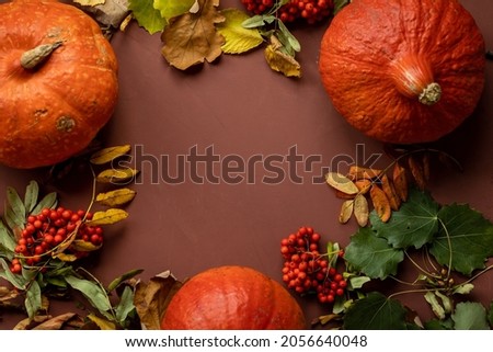 Autumn concept with a pumpkin on a dark background with autumn leaves. celebrating Halloween and Thanksgiving. pumpkin decoration and cooking. horror and Halloween outfit. ripe orange pumpkin for food
