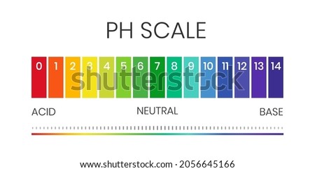 pH value scale chart for acid-alkaline solution. Acid-base balance infographic isolated on white background. Indicator for concentration of hydrogen ion in solution. Vector illustration. Royalty-Free Stock Photo #2056645166