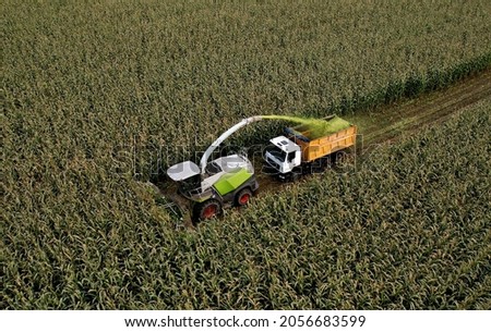 Forage harvester on maize cutting for silage in field. Harvesting biomass crop. Self-propelled Harvester for agriculture. Tractor work on corn harvest season. Farm equipment and farming machine. Royalty-Free Stock Photo #2056683599