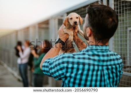 Young adult man adopting adorable dog in animal shelter. Royalty-Free Stock Photo #2056690790