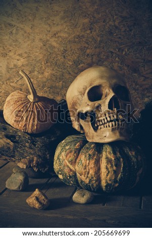 Still Life Skull and pumpkin on the timber. A symbol of Halloween