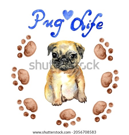Watercolor Cute Pug Dog Puppy Illustration Painting