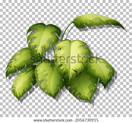 Tropical plant on transparent background illustration