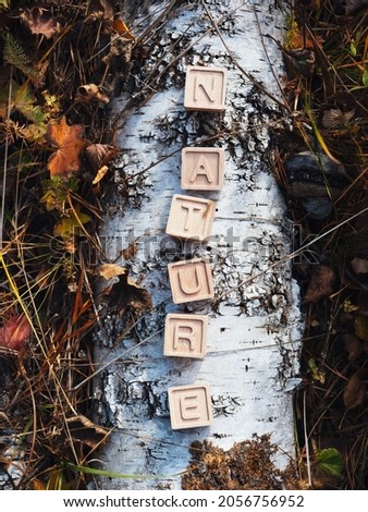 The laid out inscription nature from wooden cubes. Birch fallen tree in the autumn forest. The concept of nature conservation