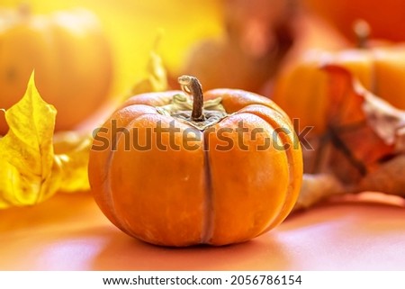 Autumn still life . Fallen maple leaves and orange pumpkins. Autumn harvest