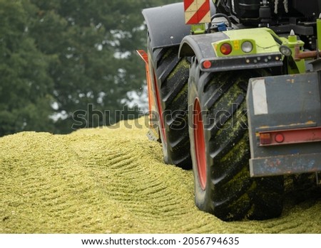 Tractor on a corn silage during the corn harvest Royalty-Free Stock Photo #2056794635