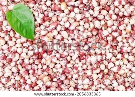 Big rice beans, color image picture