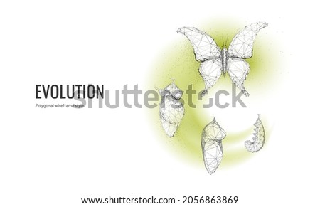 Butterfly life cycle in digital futuristic style. Insect life cycle, a transformation from caterpillar to butterfly. The concept of a successful startup or investment or business transformation