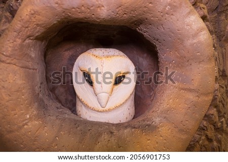 Owl sculpture in a hollow tree.