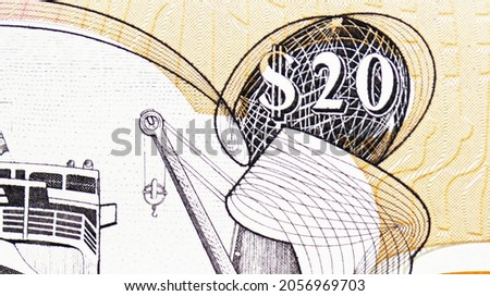 20 Dollars banknote, Bank of Guyana, closeup bill fragment shows Face value, issued 2010