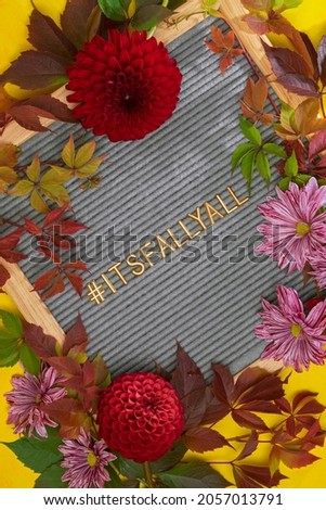 letter board with hashtag its fall yall in autumn leaves and flowers, autumn background