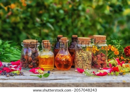 Bottled herbal and flower tinctures. Selective focus. Nature.