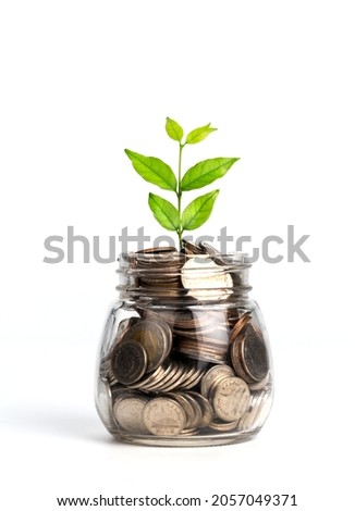 Plant growing from coins in glass jar isolated on white background. Investment and interest concept Royalty-Free Stock Photo #2057049371